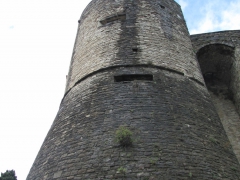 IMG_0829.jpg