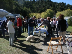 IMG_4085.JPG
