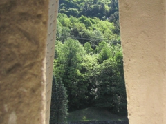 IMG_3698.jpg